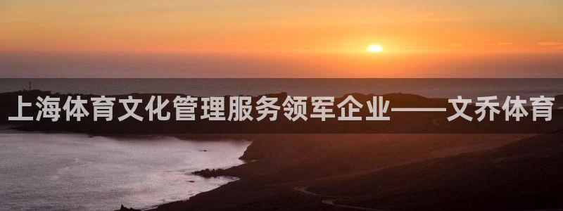 必一体育sport装