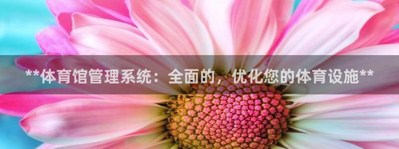 b体育必一下载：**