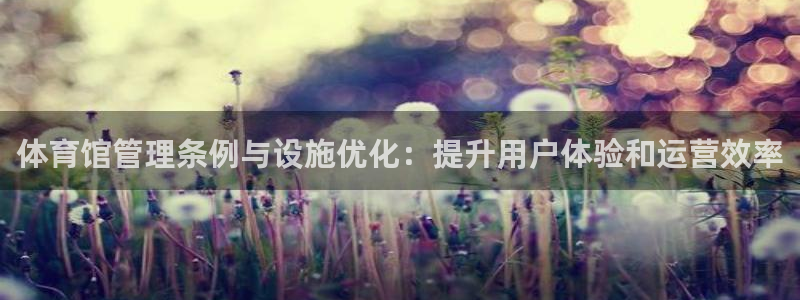 必一体育app平台下