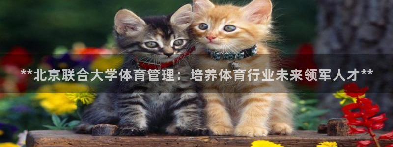 必一体育下载秀给网：