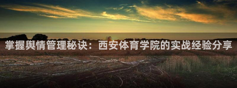 b体育官网下载入口a