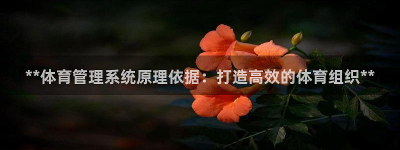 必一体育周公：**体