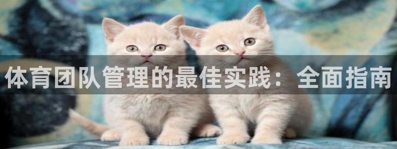 b体育必一下载：体育