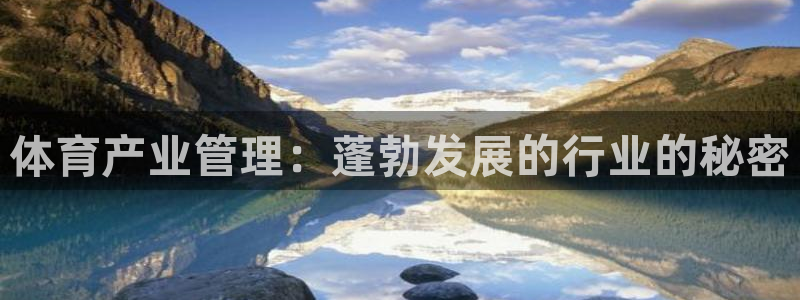 必一体育app平台下