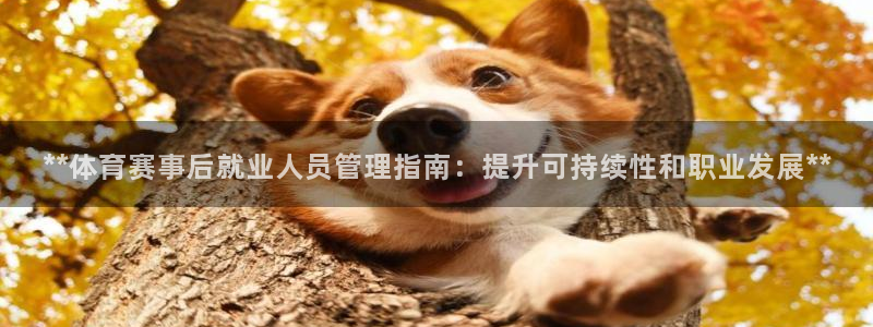 必一体育下载义：**