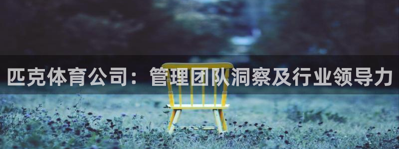 必十二和必一的副作用