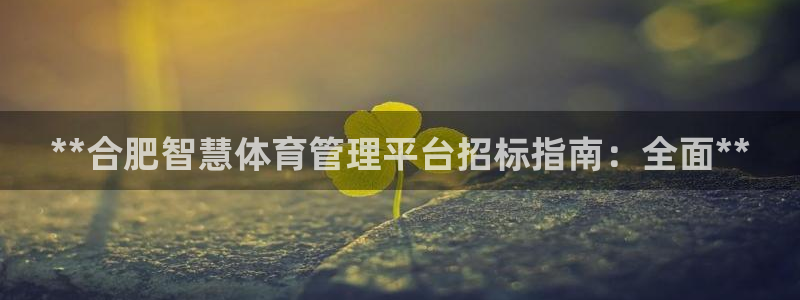 必一体育登录APP下