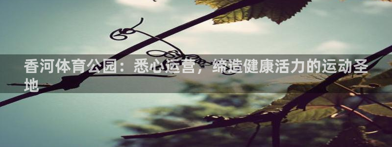 b体育官网下载入口a