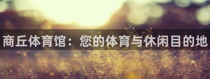 必一体育下载入口：商