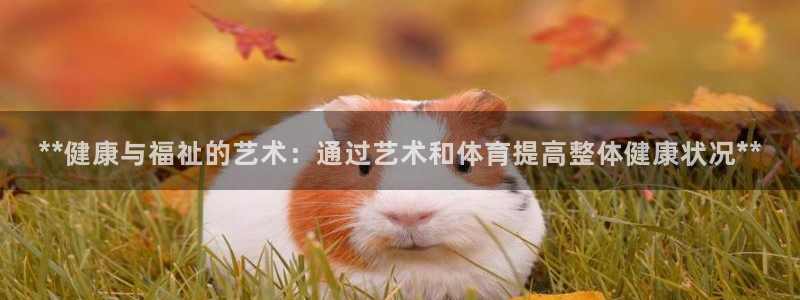 必一体育合法吗：**