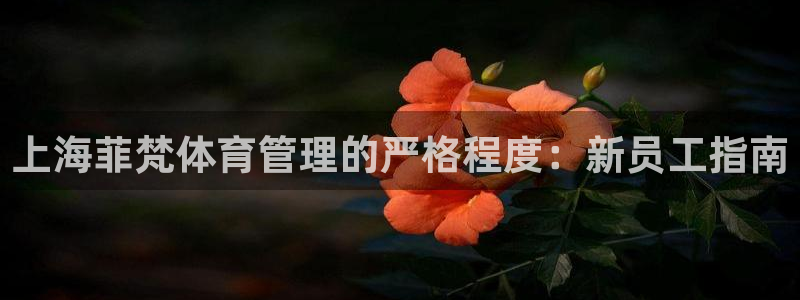 必一体育是啥：上海菲