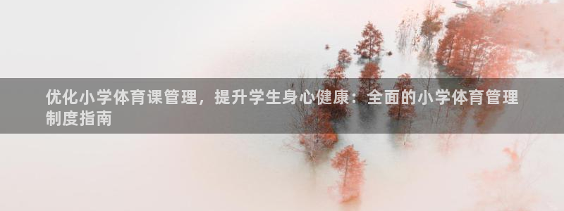 必一体育手机下载：优