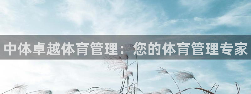 必一体育官方下载入口