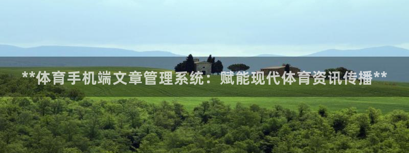 必一体育运动官网：*