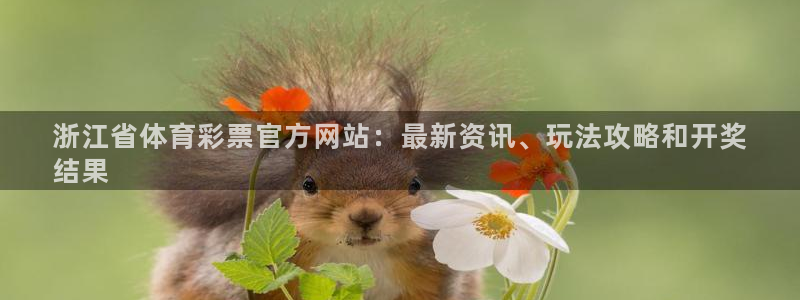 必一体育运动下载：浙