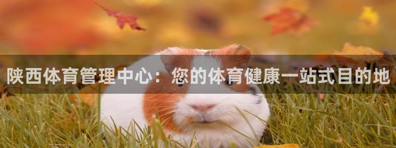 必一体育下载app下