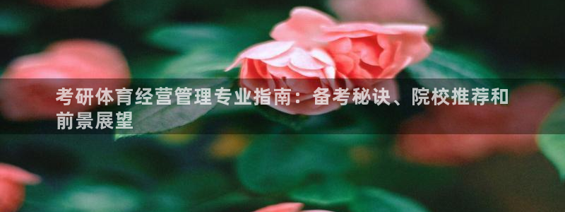 必一体育登录APP下