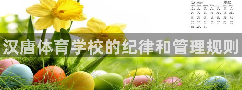 必一体育官方网站入口