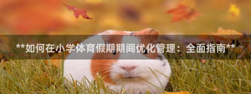 必一体育在线官网：*