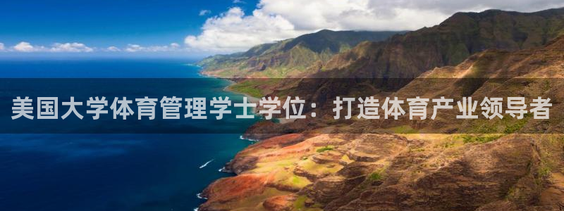 必一体育sport装