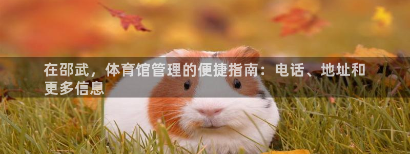 必一体育登录APP下