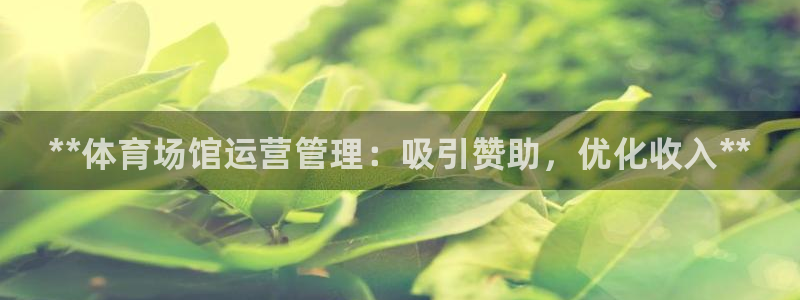 必一体育服下载最新版