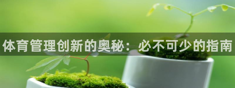 b体育官网下载入口a