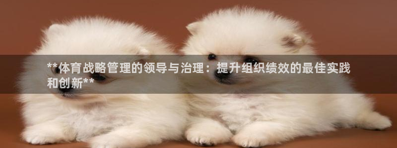 b体育必一运动网页版