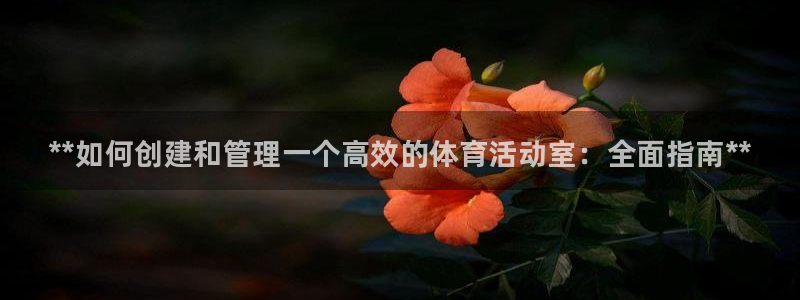 必一运动短信：**如何创建和管理一个高效的体育活动室：全面指