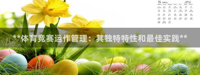 必一运动体育：**体育竞赛运作管理：其独特特性和最佳实践**