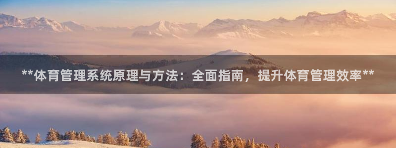 必一体育怎么下载：**体育管理系统原理与方法：全面指南，提升