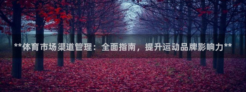 必一运动官网：**体