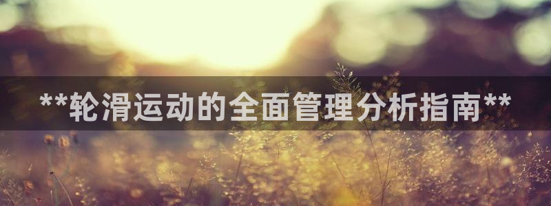 必一体育sport官