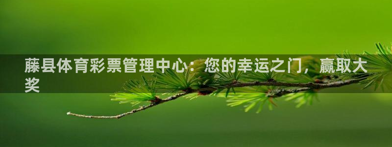 b体育必一下载：藤县