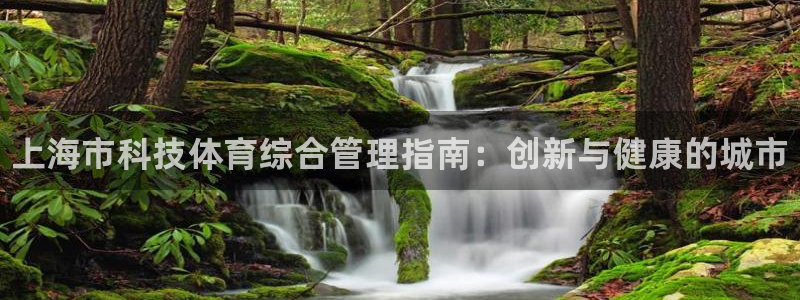 b体育官网下载入口a