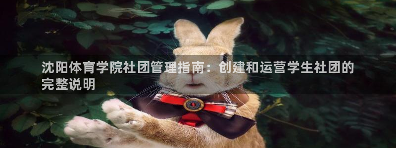 b体育官网下载入口a