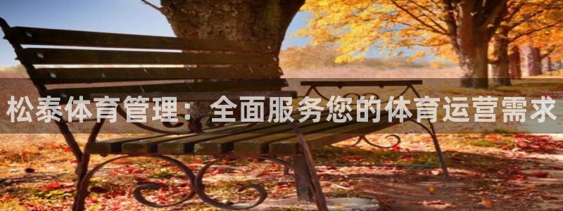 必一体育在线玩：松泰