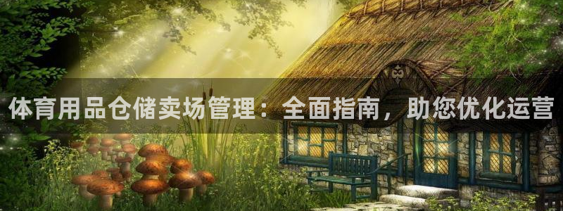 必一体育登录APP下载：体育用品仓储卖场管理：全面指南，助您