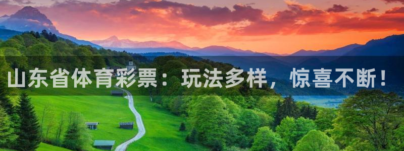 必一运动验证码：山东