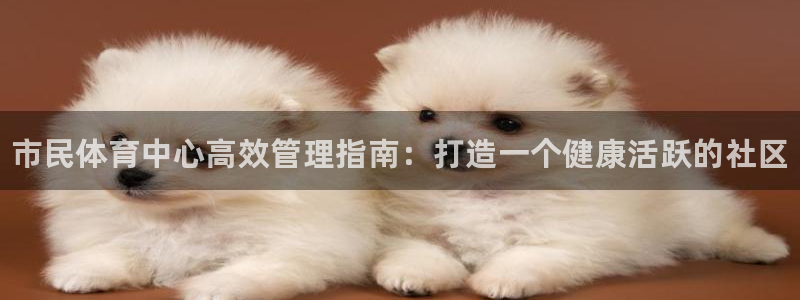 必一体育app官方下