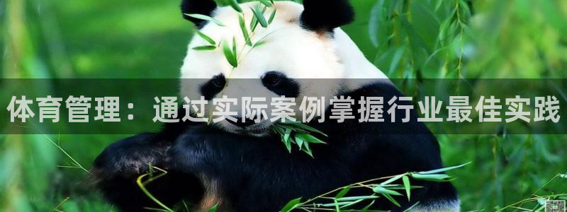 必一体育在线下载：体