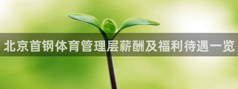 必一体育官方下载入口